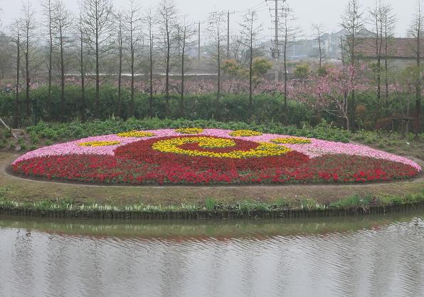 (五)——"周浦花海":标题,合影,造型