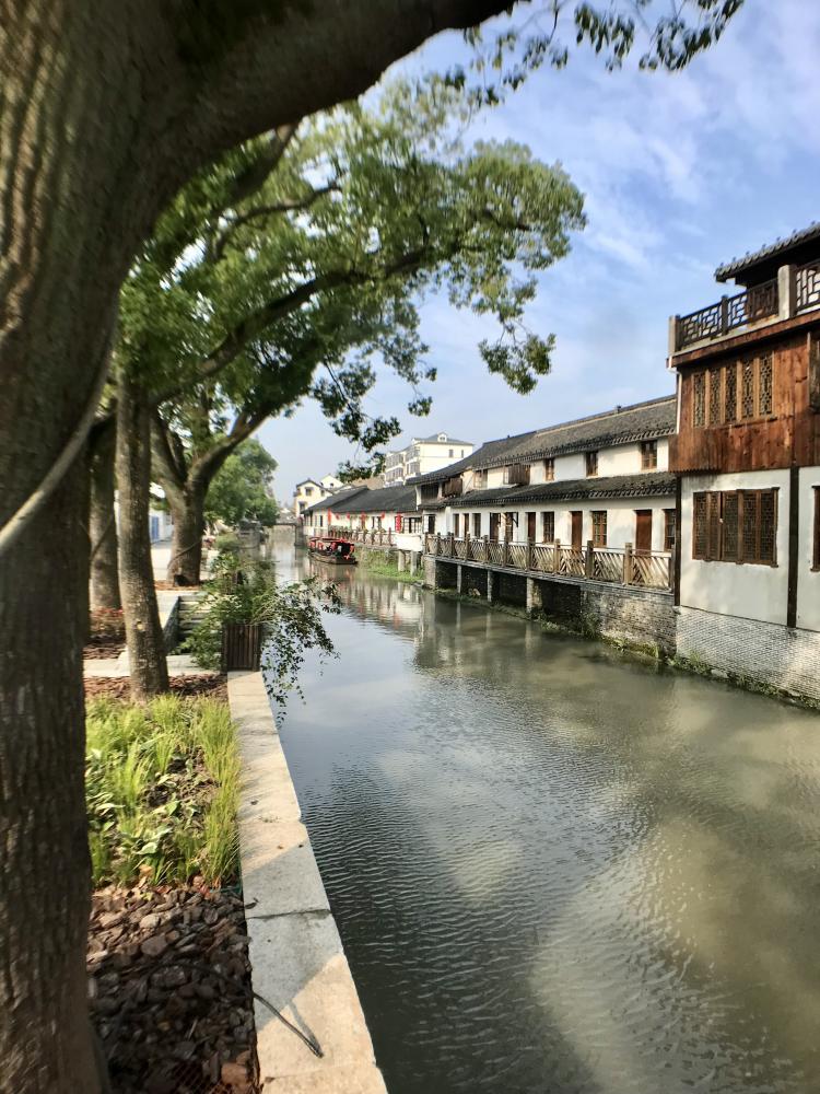 金秋之旅来到了位于上海奉贤青溪古镇,看一看新农村的新景象.