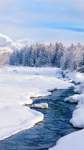 塞北的雪