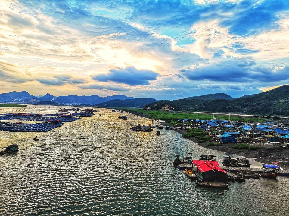 游福建霞浦，参观绿色产业