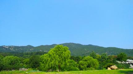 溶入天地永长恒