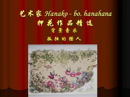 艺术家bo,hanahana押花作品精选
