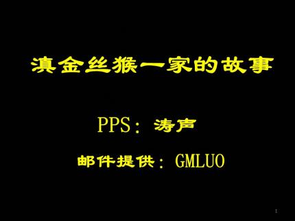 滇金丝猴一家的故事
