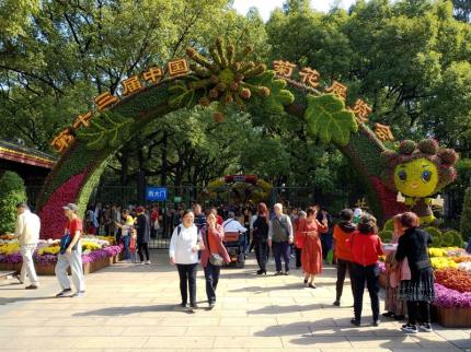 金风飘菊蕊，玉露泫萸枝