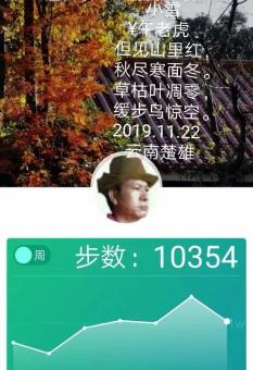 小雪