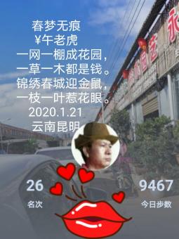 春梦无痕