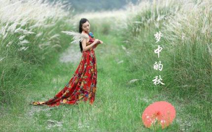 《梦中的秋》流苏