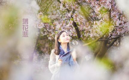 《落花悲》流苏