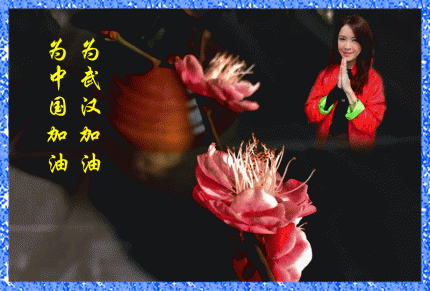 为武汉加油   为中国加油