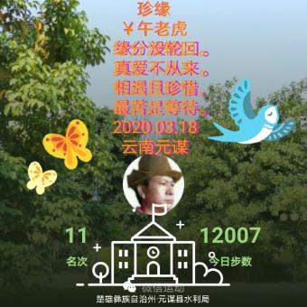 珍缘