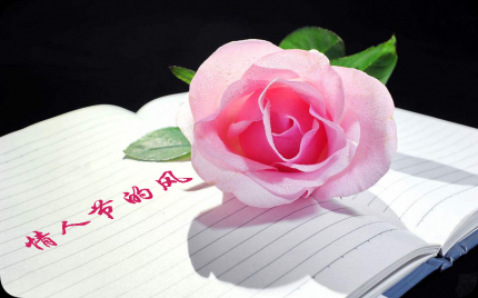 精选歌曲合辑汇编