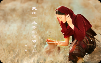 《我用一生等你可不可以》雨露