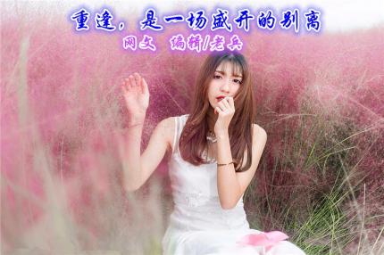 (音乐美文)重逢，是一场盛开的别离