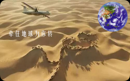 《牵住地球为你转》费娜百灵鸟