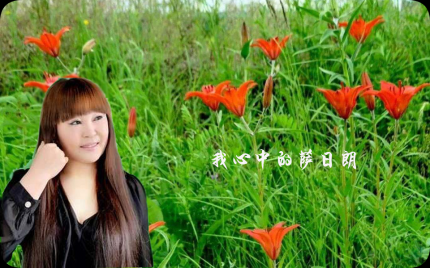 《我心中的萨日朗》费娜百灵鸟