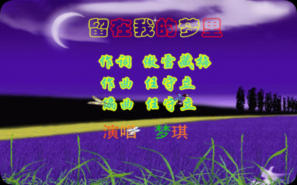 《留在我的梦里》梦琪