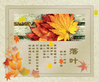 单图动画：落叶