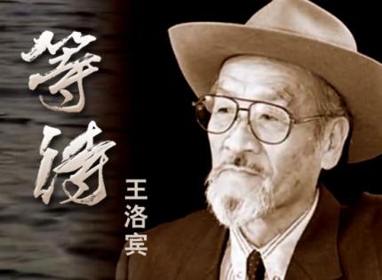 你曾在橄榄树下等待，再等待...