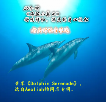 《海豚小夜曲》舒适祥和，深度的身心放松