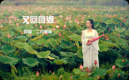 《又回荷乡》二月寒梅