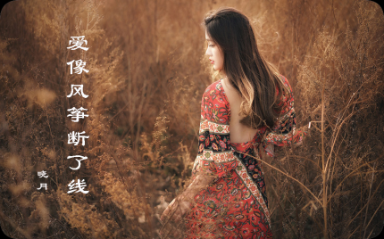 《爱像风筝断了线》晓月