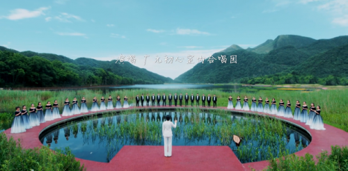 又见山楂树