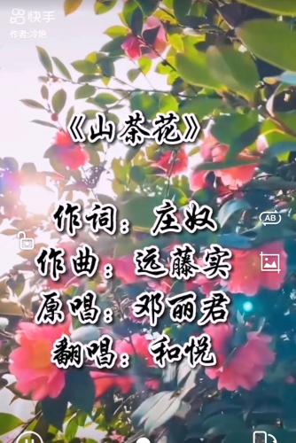 山茶花 这首歌
