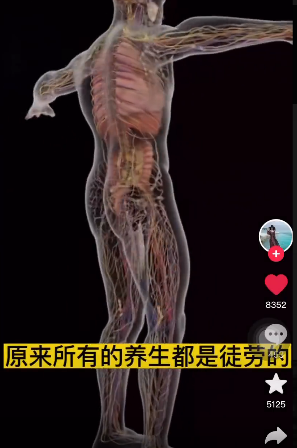 原来所有的养生都是徒劳的