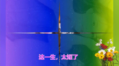 这一生，太短了