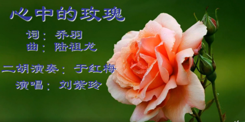 往事歌谣－－心中的玫瑰