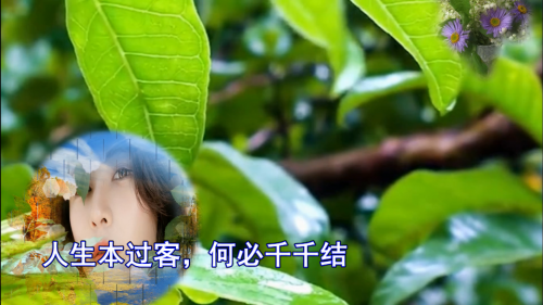 人生本过客，何必千千结