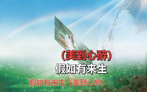 假如有来生