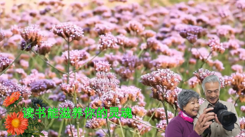 读书能滋养你的灵魂