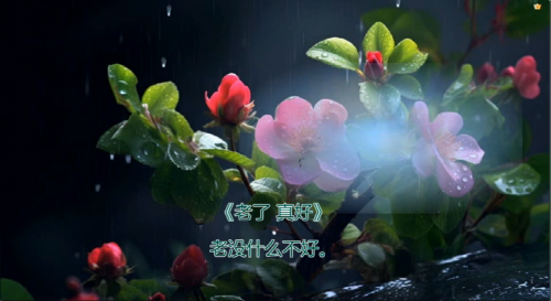 老了  真好