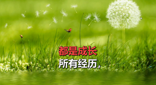 所有经历，都是成长