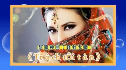 越南神曲：怪我无情