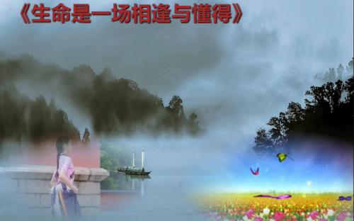 生命是一场相逢与懂得