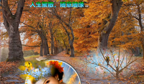 人生聚散，随意随缘
