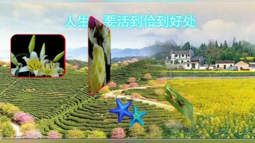 人生，要活到恰到好处