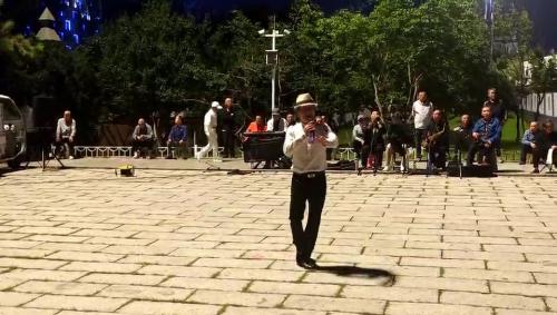 中艺歌舞演唱 --- 王焕青独唱