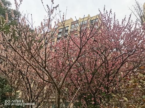 20190401谈裕华农中一建校1
