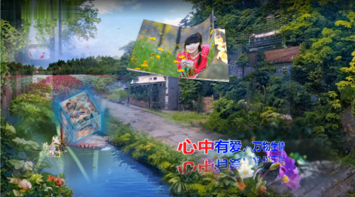 心中有爱，万物生情
