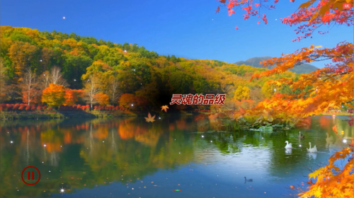 灵魂的品级