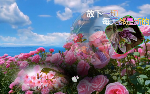 放下一切 每天都是新的