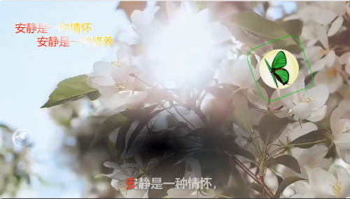 安静是一种情怀，安静是一种修养