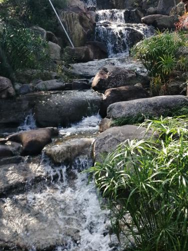 小区里的小花园