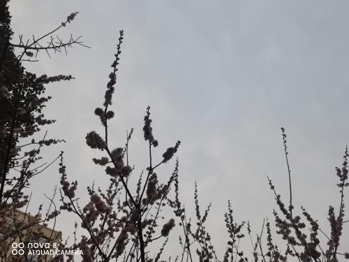190929-14-zhong  h-不忘初心