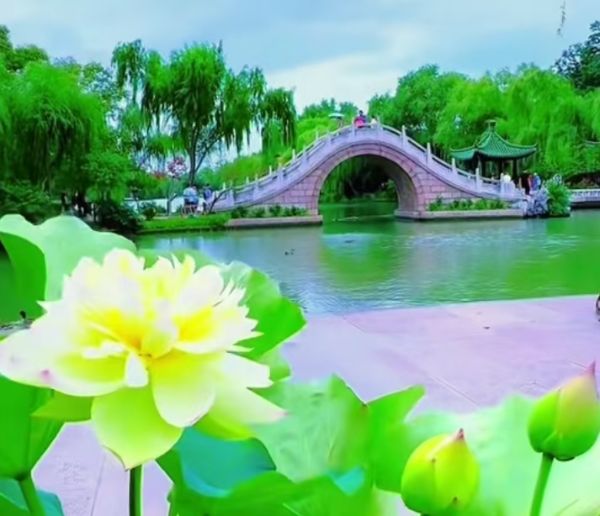 《虚拟扇韵，情系老小孩》